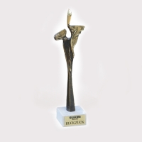 Statuetka Sukces Roku 2015, Marka SENTIS „Sukcesem Roku 2015” 