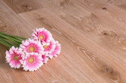 Shabby Chic – wnętrza z&nbsp;duszą